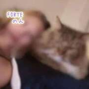 ヒメ日記 2025/09/09 08:09 投稿 のん FORTE