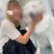 ヒメ日記 2025/09/17 22:19 投稿 のん FORTE