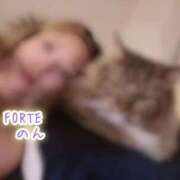 ヒメ日記 2025/09/25 08:19 投稿 のん FORTE