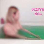 ヒメ日記 2025/11/14 15:09 投稿 のん FORTE