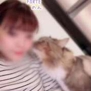 ヒメ日記 2025/11/19 12:09 投稿 のん FORTE