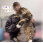 ヒメ日記 2026/01/17 08:19 投稿 のん FORTE