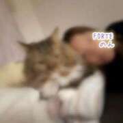 ヒメ日記 2026/03/01 23:49 投稿 のん FORTE