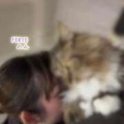 ヒメ日記 2026/03/18 22:11 投稿 のん FORTE