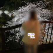 ヒメ日記 2026/03/19 22:19 投稿 のん FORTE