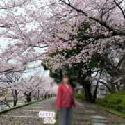 ヒメ日記 2026/04/03 15:19 投稿 のん FORTE