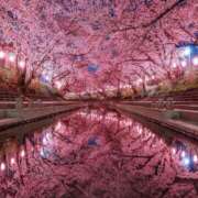 ヒメ日記 2025/02/25 13:06 投稿 茉夕奈/まゆな ANEJE～アネージュ池袋～(ユメオト)