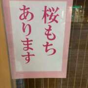 ヒメ日記 2025/02/27 14:03 投稿 茉夕奈/まゆな ANEJE～アネージュ池袋～(ユメオト)
