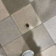 ヒメ日記 2025/08/21 14:12 投稿 茉夕奈/まゆな ANEJE～アネージュ池袋～(ユメオト)