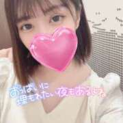 ヒメ日記 2024/12/14 17:09 投稿 まいか スピードエコ日本橋店