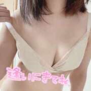 ヒメ日記 2025/06/12 09:09 投稿 まいか スピードエコ日本橋店