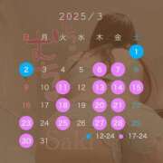 ヒメ日記 2025/02/26 12:00 投稿 長濱 さき 京都ホットポイント