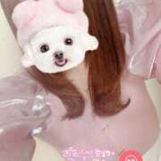 ヒメ日記 2025/04/27 19:31 投稿 マリィ 【福岡デリヘル】20代・30代★博多で評判のお店はココです！