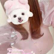 ヒメ日記 2025/04/29 22:30 投稿 マリィ 【福岡デリヘル】20代・30代★博多で評判のお店はココです！