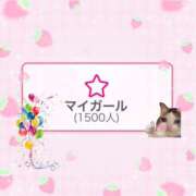 ヒメ日記 2025/07/11 14:30 投稿 マリィ 【福岡デリヘル】20代・30代★博多で評判のお店はココです！