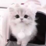 ヒメ日記 2026/02/23 16:22 投稿 ちの スピードエコ難波店