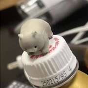 ヒメ日記 2026/03/12 23:02 投稿 ちの スピードエコ難波店