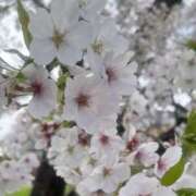 ヒメ日記 2026/04/09 19:02 投稿 ちの スピードエコ難波店