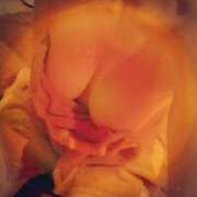 ヒメ日記 2025/04/11 15:22 投稿 るりか sakura