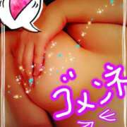 ヒメ日記 2025/07/08 10:19 投稿 るりか sakura