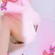 ヒメ日記 2026/02/19 08:32 投稿 るりか sakura