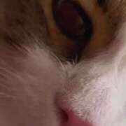 ヒメ日記 2025/03/26 17:03 投稿 桃愛（もあ） 堺・南大阪泡洗体ハイブリッドエステ