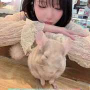 ヒメ日記 2025/04/13 15:03 投稿 桃愛（もあ） 堺・南大阪泡洗体ハイブリッドエステ