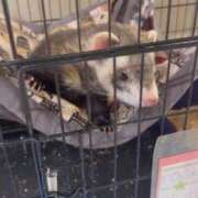 ヒメ日記 2025/04/23 12:05 投稿 桃愛（もあ） 堺・南大阪泡洗体ハイブリッドエステ