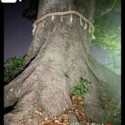 ヒメ日記 2025/04/26 12:04 投稿 桃愛（もあ） 堺・南大阪泡洗体ハイブリッドエステ