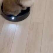 ヒメ日記 2025/06/04 20:03 投稿 桃愛（もあ） 堺・南大阪泡洗体ハイブリッドエステ