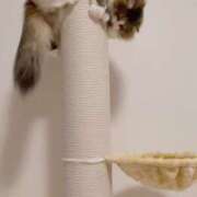 ヒメ日記 2025/07/23 07:03 投稿 桃愛（もあ） 堺・南大阪泡洗体ハイブリッドエステ