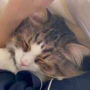 ヒメ日記 2025/10/11 07:13 投稿 桃愛（もあ） 堺・南大阪泡洗体ハイブリッドエステ