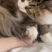 ヒメ日記 2025/10/28 07:03 投稿 桃愛（もあ） 堺・南大阪泡洗体ハイブリッドエステ