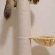 ヒメ日記 2025/11/04 12:03 投稿 桃愛（もあ） 堺・南大阪泡洗体ハイブリッドエステ