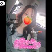 ヒメ日記 2026/04/06 12:23 投稿 桃愛（もあ） 堺・南大阪泡洗体ハイブリッドエステ