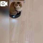 ヒメ日記 2026/04/08 12:23 投稿 桃愛（もあ） 堺・南大阪泡洗体ハイブリッドエステ