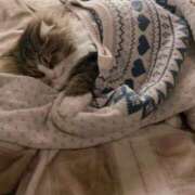 ヒメ日記 2026/04/11 17:13 投稿 桃愛（もあ） 堺・南大阪泡洗体ハイブリッドエステ