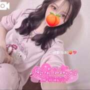 ヒメ日記 2026/04/13 06:13 投稿 桃愛（もあ） 堺・南大阪泡洗体ハイブリッドエステ