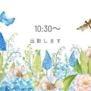 ヒメ日記 2025/06/13 10:48 投稿 ゆずは 川越おかあさん