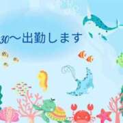 ヒメ日記 2025/08/19 10:09 投稿 ゆずは 川越おかあさん