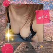 ヒメ日記 2026/03/13 11:38 投稿 ゆずは 川越おかあさん