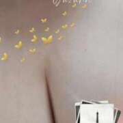 ヒメ日記 2026/04/10 00:48 投稿 ゆずは 川越おかあさん