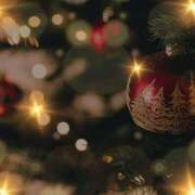 ヒメ日記 2024/12/20 09:31 投稿 ゆずは 大宮おかあさん