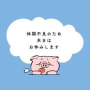 ヒメ日記 2024/12/30 11:51 投稿 ゆずは 大宮おかあさん