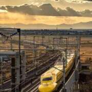 ヒメ日記 2025/01/24 10:41 投稿 ゆずは 大宮おかあさん