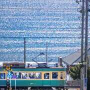 ヒメ日記 2025/03/21 10:21 投稿 ゆずは 大宮おかあさん