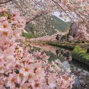 ヒメ日記 2025/03/22 09:51 投稿 ゆずは 大宮おかあさん