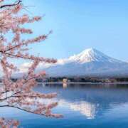 ヒメ日記 2025/03/31 10:01 投稿 ゆずは 大宮おかあさん