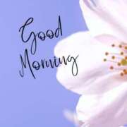 ヒメ日記 2025/04/05 09:51 投稿 ゆずは 大宮おかあさん