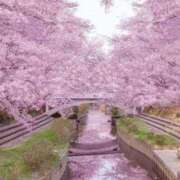 ヒメ日記 2025/04/07 10:21 投稿 ゆずは 大宮おかあさん